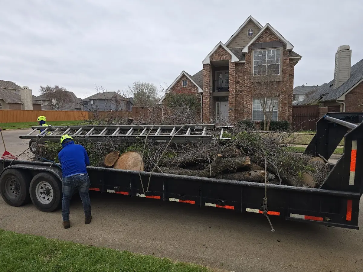Expert Lot Clearing with proper safety equipment in Ludlow